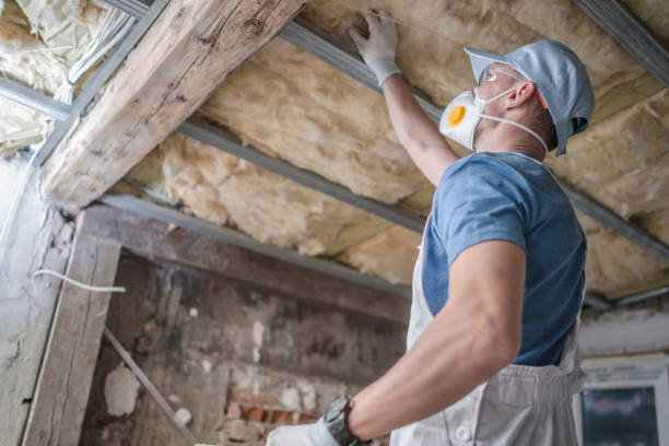 Best Insulation Installation Services in Fort Dodge, IA